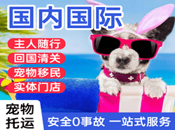 琼海博鳌航空邮寄国际宠物托运 【国